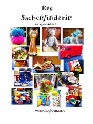 cover image of Die Sachenfinderin